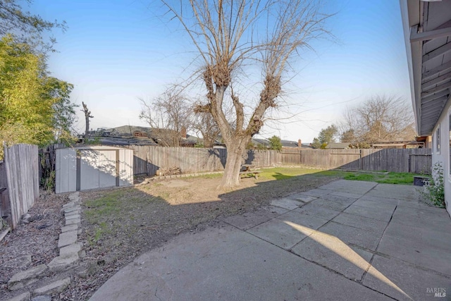 view of yard featuring a storage shed and a patio