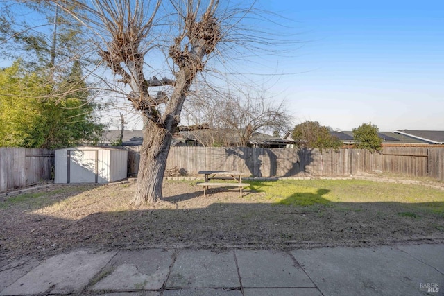 view of yard featuring a storage shed