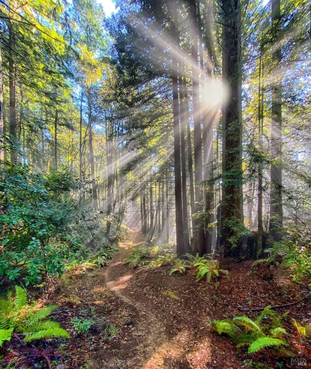 view of nature featuring a wooded view