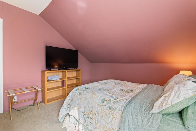 825 N Forbes St, Lakeport, CA 95453 - carpeted bedroom with lofted ceiling