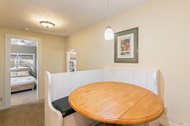 825 N Forbes St, Lakeport, CA 95453 - dining area with carpet floors and a textured ceiling