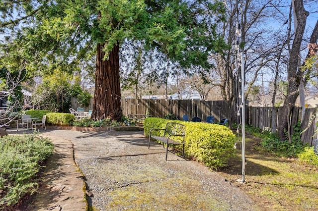 825 N Forbes St, Lakeport, CA 95453 - view of yard with a patio area