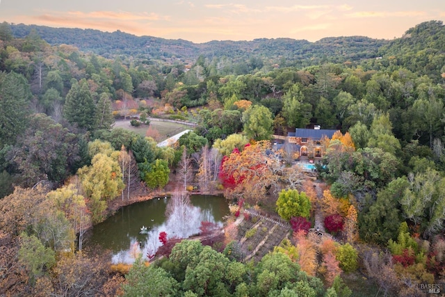 aerial view featuring a water view and a view of trees