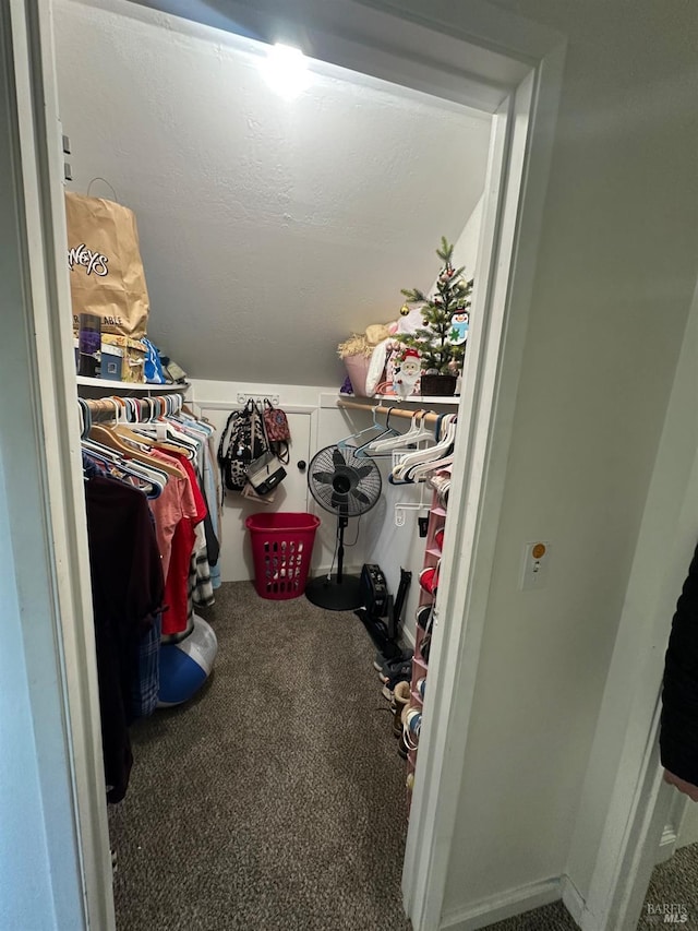 spacious closet featuring carpet