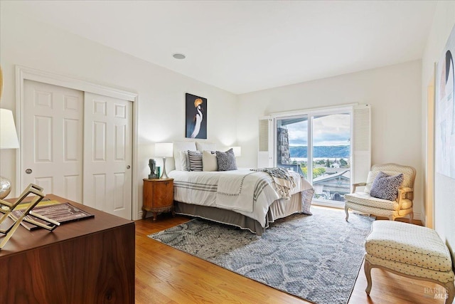 bedroom with access to exterior, wood-type flooring, and a closet