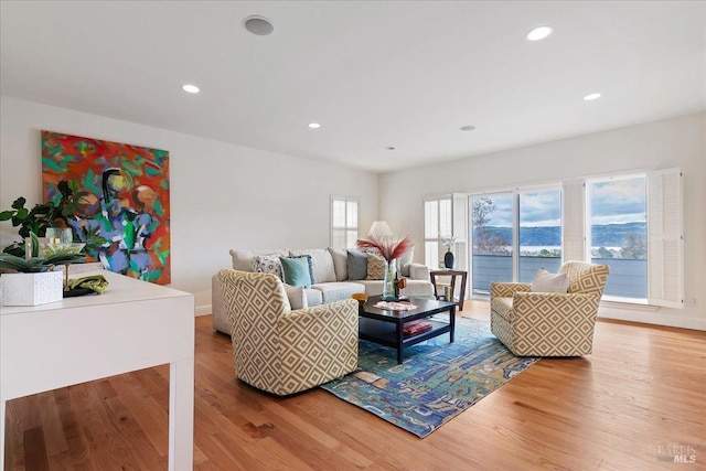 living room with light wood-type flooring