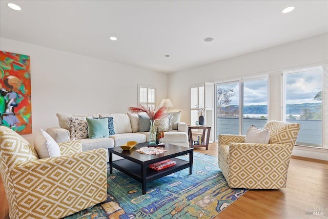 living room featuring light wood-type flooring