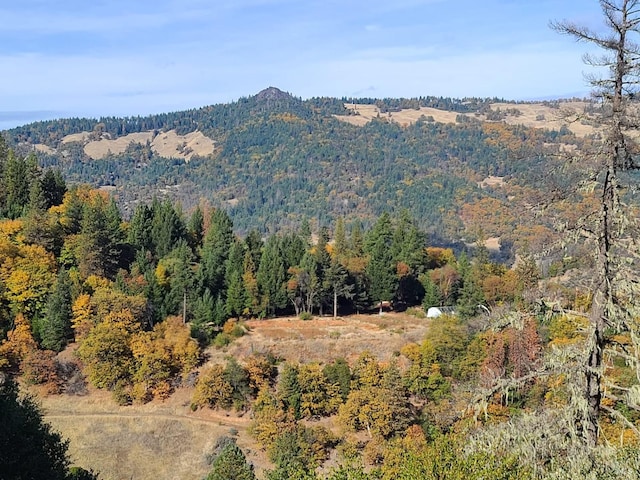 view of mountain feature