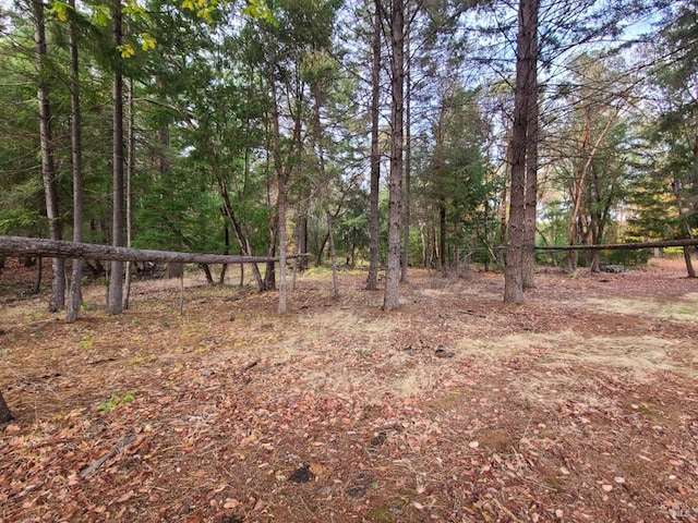 view of landscape