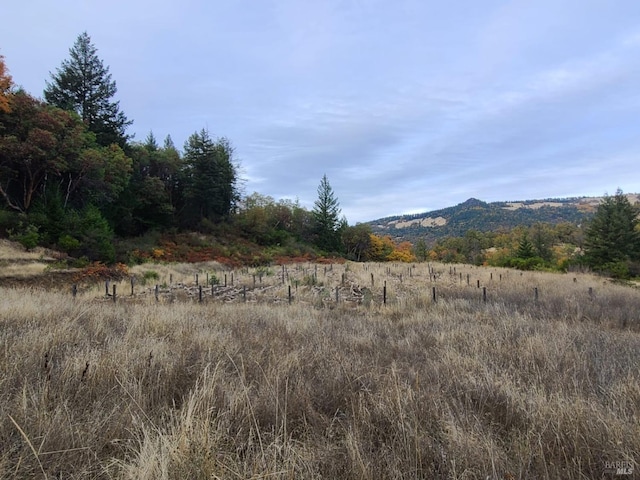 property view of mountains with a rural view