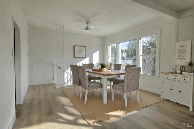 dining room featuring ceiling fan, light hardwood / wood-style floors, and beamed ceiling