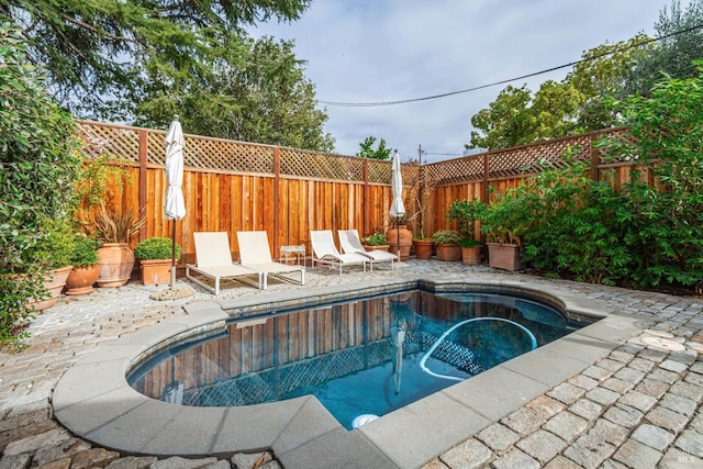 view of swimming pool featuring a patio