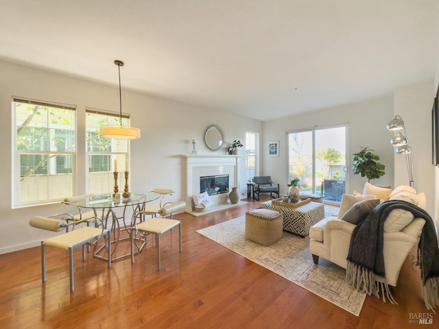 living room featuring hardwood / wood-style flooring