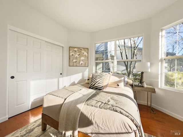 bedroom featuring wood-type flooring and a closet