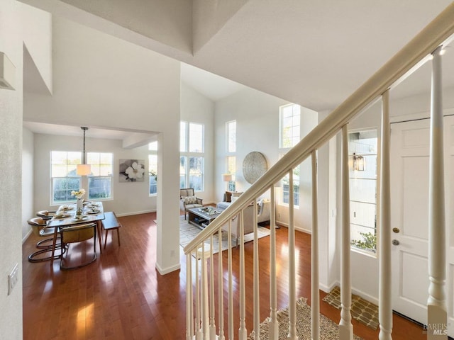 entryway with a high ceiling and hardwood / wood-style floors