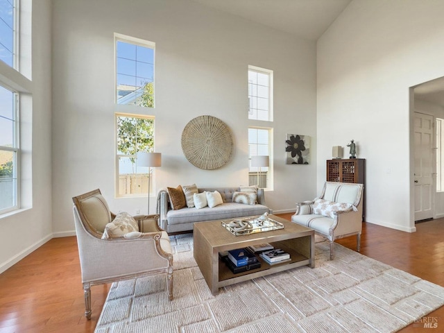 living room with a wealth of natural light, a high ceiling, and light wood-type flooring