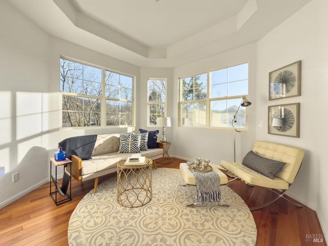 sunroom / solarium with a tray ceiling