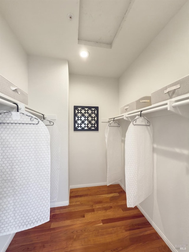 walk in closet with wood-type flooring