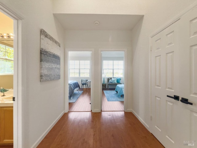 hallway featuring dark hardwood / wood-style floors