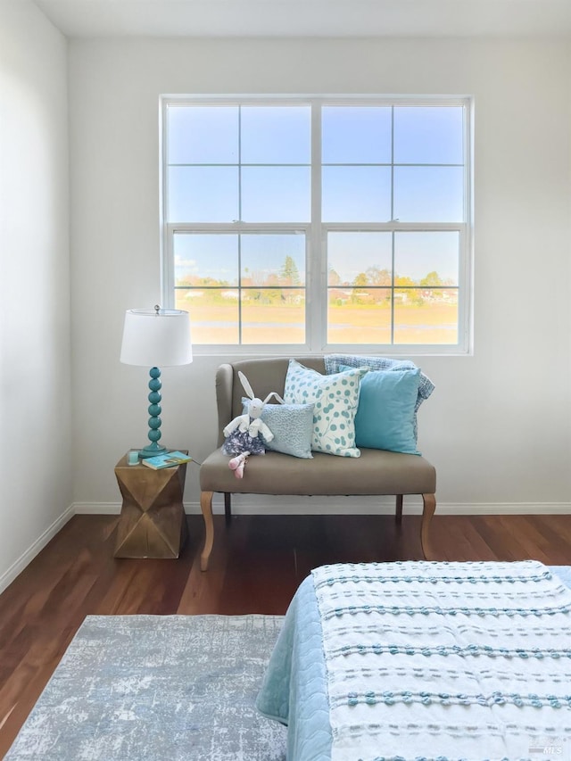 sitting room featuring dark wood-type flooring