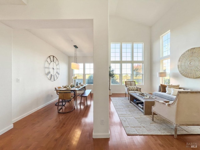 living room with hardwood / wood-style floors, high vaulted ceiling, and a healthy amount of sunlight