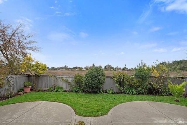 view of yard with a patio