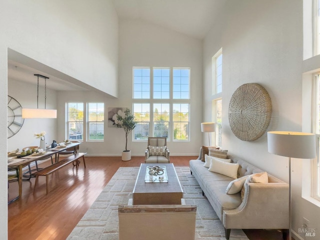 living room featuring high vaulted ceiling and light hardwood / wood-style flooring