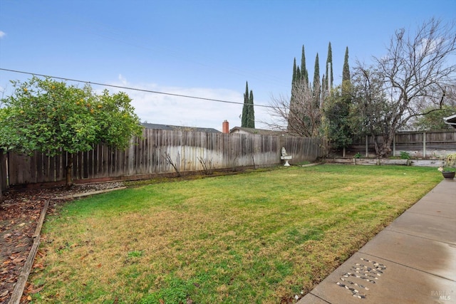 view of yard with a fenced backyard