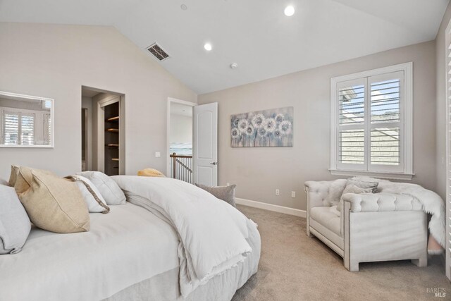 walk in closet with light colored carpet