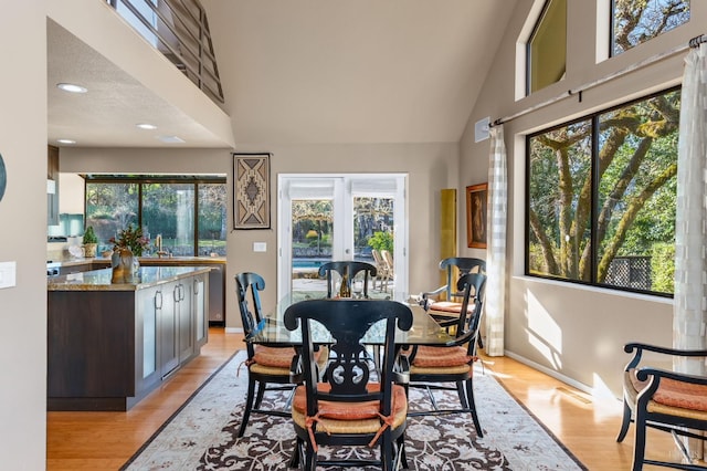 dining room with sink, high vaulted ceiling, and light hardwood / wood-style flooring