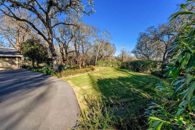 3057 Saint Helena Hwy N, Saint Helena, CA 94574 - view of green lawn