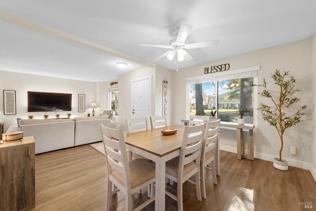 dining area with hardwood / wood-style flooring and ceiling fan