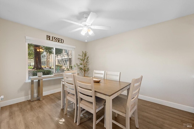 dining area with ceiling fan and hardwood / wood-style floors