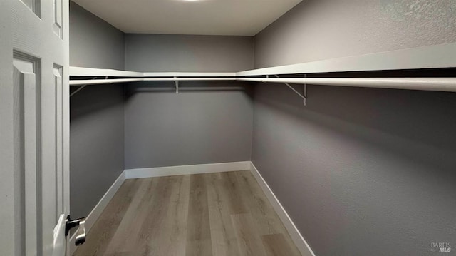 walk in closet with light hardwood / wood-style floors