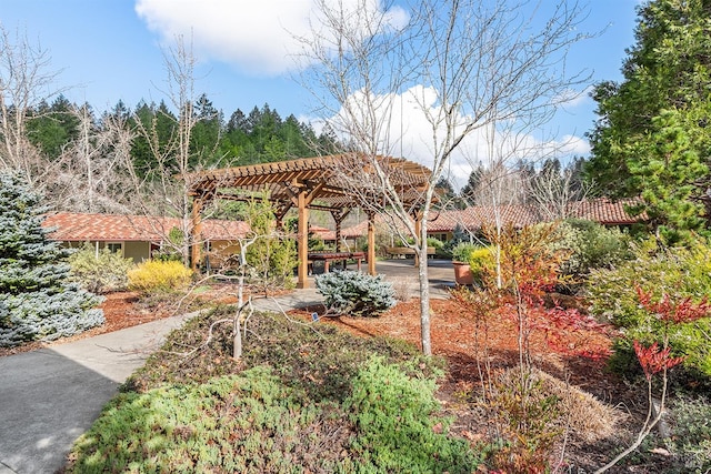 view of yard featuring a pergola