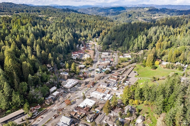 bird's eye view with a mountain view