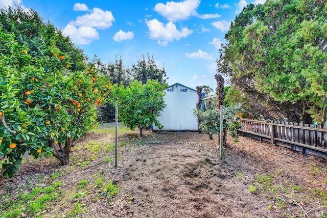 view of yard with a shed