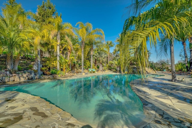 view of pool