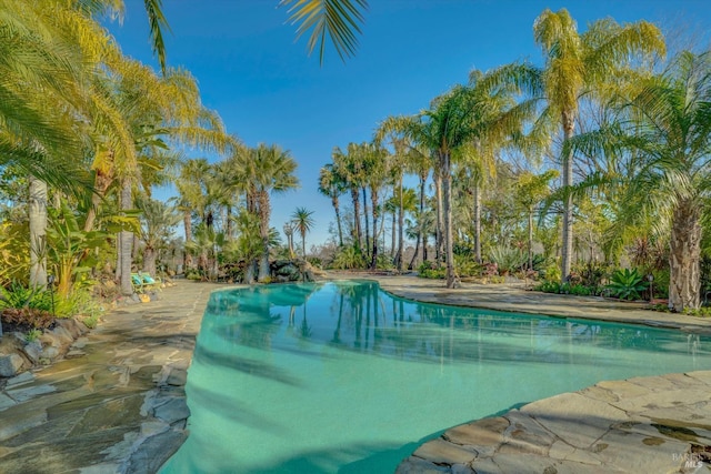 view of swimming pool