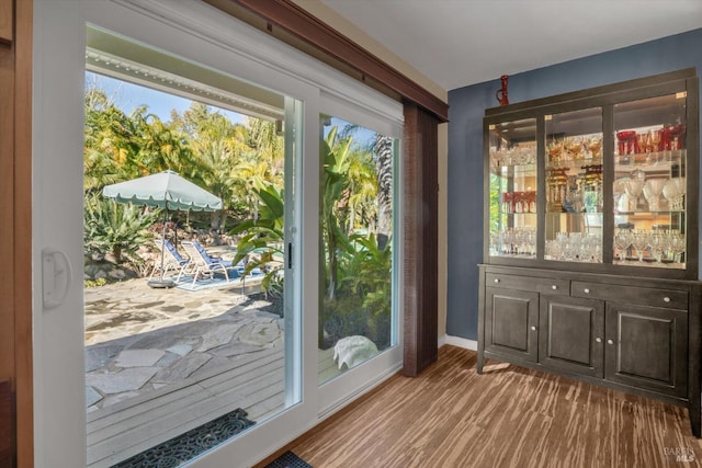 entryway with wood-type flooring