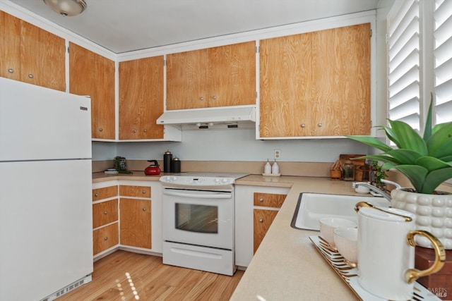 kitchen featuring light countertops, a sink, light wood-type flooring, white appliances, and under cabinet range hood