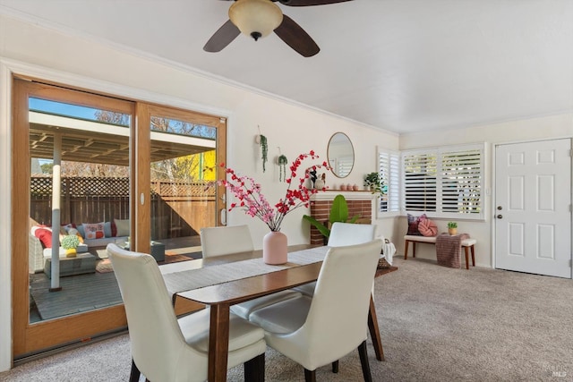 carpeted dining space with a healthy amount of sunlight, a ceiling fan, and crown molding