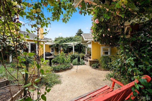 view of property's community with a patio area