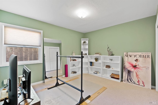 bedroom featuring carpet flooring