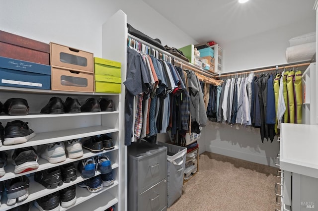 spacious closet featuring light colored carpet