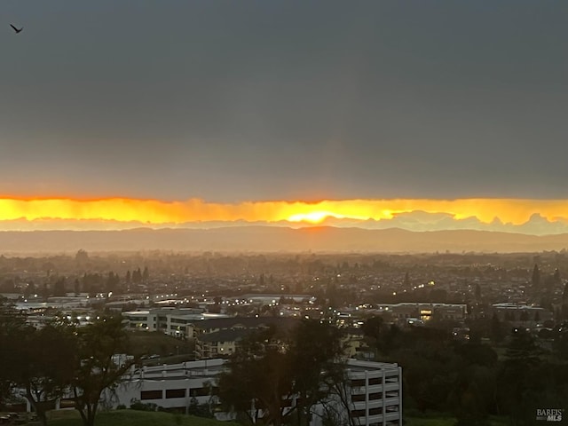 property's view of city featuring a mountain view