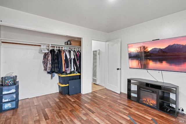 interior space featuring wood-type flooring and a closet