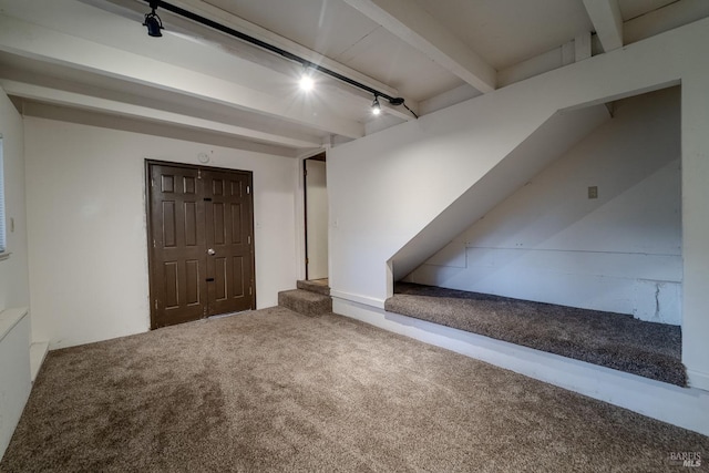 basement with carpet flooring and track lighting