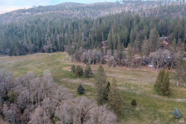 birds eye view of property featuring a mountain view