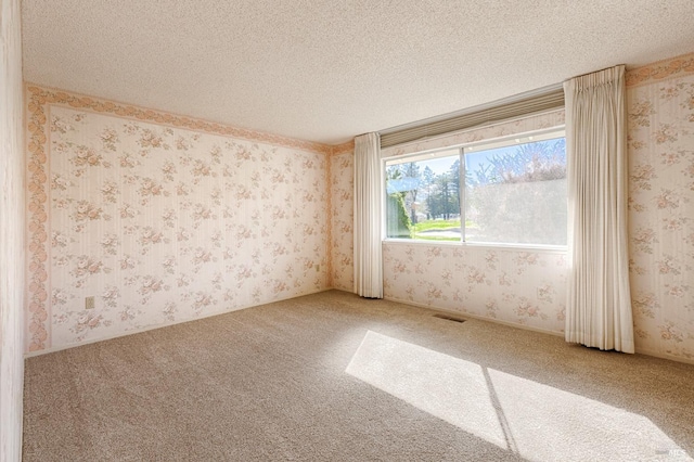 empty room featuring a textured ceiling and carpet